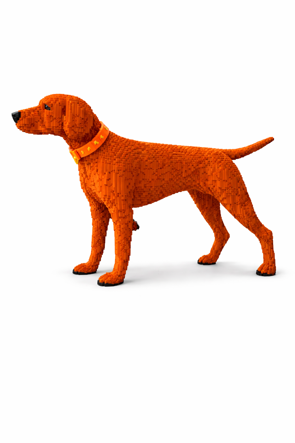 Vizsla Building Brick Dog
