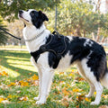 Tactical Military Vest Dog Harness Pet Doberman Training Dog