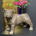 Stately Bronze Bulldog Plant Pedestal